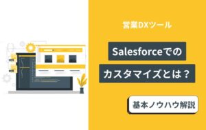 salesforce カスタマイズ　開発